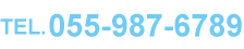 TEL.055-987-6789